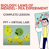 Mendel's laws of inheritance biology virtual lab PPT lesso