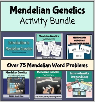 Preview of Mendelian Genetics Activity Bundle