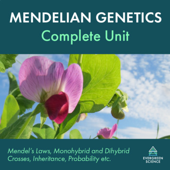 Preview of Mendelian Genetics - Complete Unit