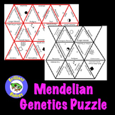 Mendelian Genetics Puzzle