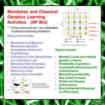Preview of Mendelian/Classical Genetics Learning Activities for AP Bio (Distance Learning)
