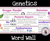 Genetics Word Wall ESL Mendelian and Nonmendelian