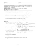 Menstrual Cycle Worksheets & Teaching Resources | TpT