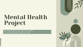 Preview of Mental Health Project Guidelines