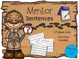 Mentor Sentences