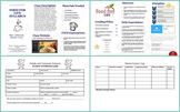 Menu Theme Syllabus (Fully Editable) with free Student Inf