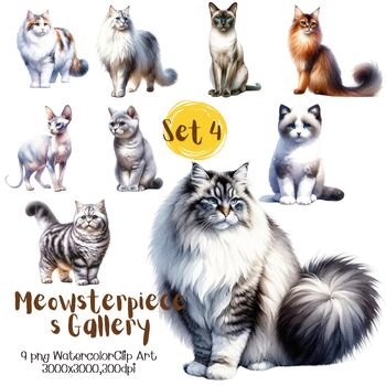 Preview of Meowster pieces Gallery set4(A0148)Watercolor Clip art Education Activity Gift