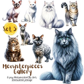 Preview of Meowster pieces Gallery set5(A0149)Watercolor Clip art Education Activity Gift