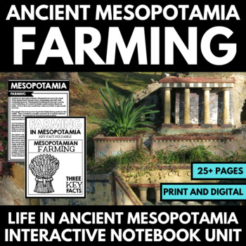 Preview of Ancient Mesopotamia Unit - Daily Life in Mesopotamia - Questions - Activities