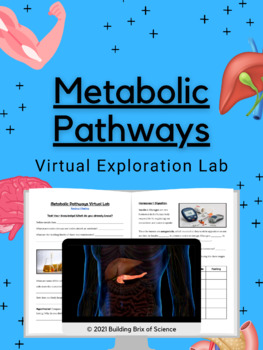 Preview of Metabolic Pathways Virtual Exploration Lab
