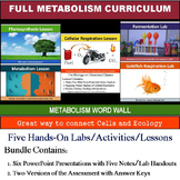 Metabolism Activities for Photosynthesis and Cellular Respiration