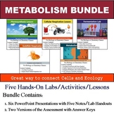Metabolism Unit - Five 90min Lessons and Labs Bundle with 