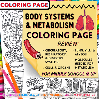 Preview of Metabolism Graphic Notes Coloring Page: Definitions Concepts Diagrams SEL Review