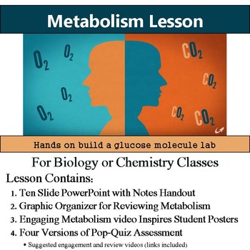 Preview of Metabolism Lesson and Activity