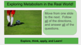 Metabolism in the Real World - Soccer Independent Activity