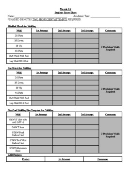 Preview of Metals 2 Student Score Sheet