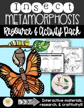 Preview of Metamorphosis-Charts/Diagrams/Activities for Anchor Charts/Interactive Notebook