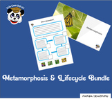 Metamorphosis Bundle:  The Lifecycle of a butterfly