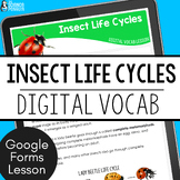 Insects Life Cycles Vocab Digital Resource | Ladybug Bee D