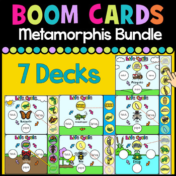 Preview of Metamorphosis| Life Cycle Bundle| Boom Cards | Distance Learning
