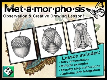 Preview of Metamorphosis Observational & Creative Drawing. Great sub plan! Quick & Easy!