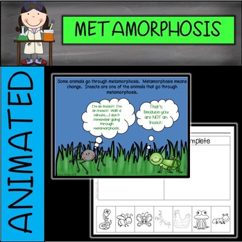 Preview of Metamorphosis Animated PowerPoint