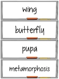 Metamorphosis Word Wall and Vocabulary Activities Set