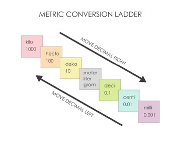 Preview of Metric Conversion Ladder Printable/Graphic:  Clean & Simple