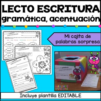 Preview of Lecto escritura, gramática y acentuación LITERACY activities IN SPANISH