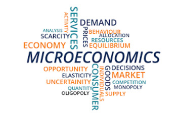 Preview of Micro Economics bundle