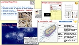 Micro organisms - 3. Bacteria & Antibiotics (PowerPoint, W