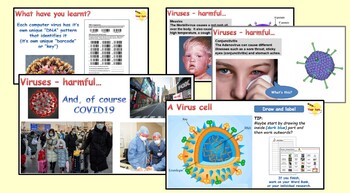 Preview of Micro organisms - 4. Viruses & Vaccines (PowerPoint, Worksheets and Videos)