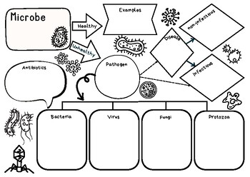 Preview of Microbe flowchart worksheet