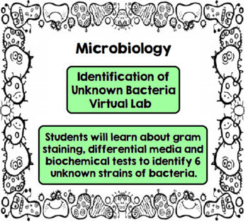 virtual unknown microbiology lab answers