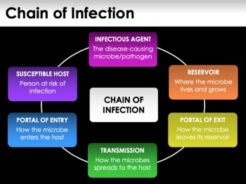 chain of transmission of infectious disease