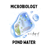Microbiology of Pond Water
