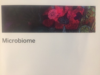 Preview of Microbiomes Amplify Science Unit 1 NEW!