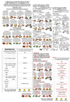 Preview of Micronutrients Guided Notes Worksheet + Slide Show