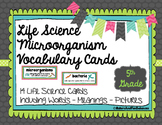 Microorganism Vocabulary Cards for Science Word Wall with 