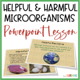 Microorganisms Slides Lesson - Life Science