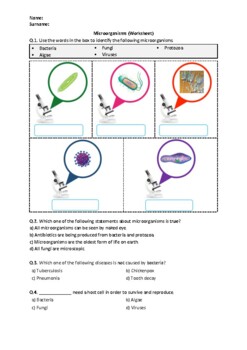 Preview of Microorganisms - Worksheet | Easel Activity & Printable PDF