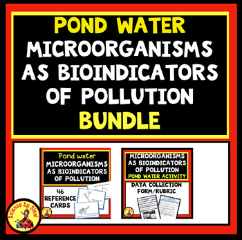 Preview of Microorganisms as BIOINDICATORS OF WATER POLLUTION In a Pond Activity BUNDLE