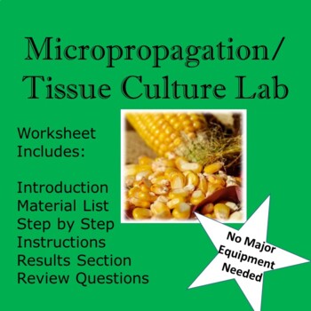 Preview of Micropropagation/Tissue Culture Lab Worksheet