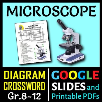 Preview of Microscope Crossword with Diagram | Printable & Distance Learning Options
