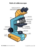 Microscope Worksheet | Teachers Pay Teachers