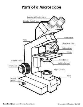 Microscope Diagram and Quiz by Tim's Printables | TpT