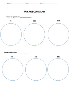 worksheets microscope slide