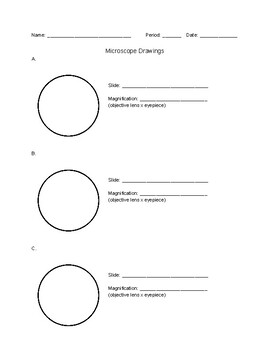 Preview of Microscope Drawing Worksheet