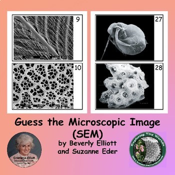 Preview of Microscope Image Guessing Game #1 for Printable Pages and Digital Viewing