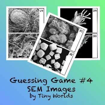 Preview of Microscope Image Guessing Game #4 for Digital Viewing and Printable Pages